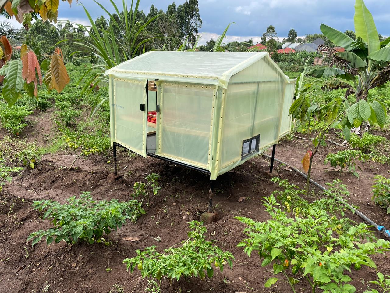 Renewable Energy Innovation